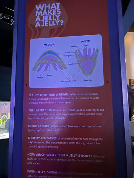 Jelly informational sign