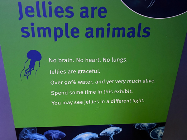 sign about Jellies