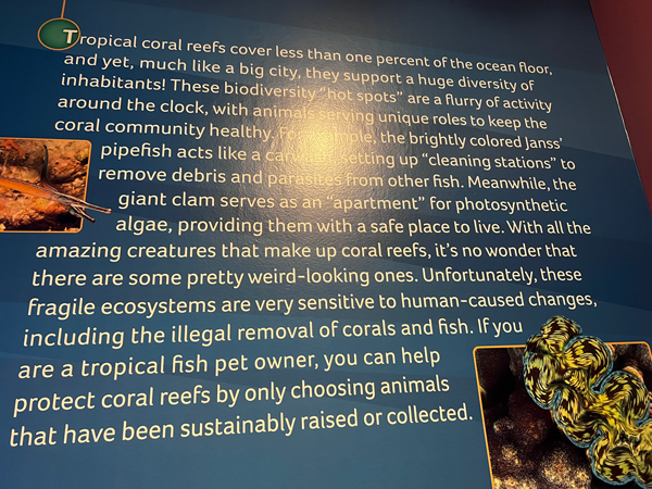 sign about tropical coral reefs