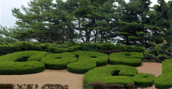 Cape Cod made of grass