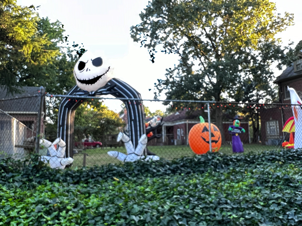 Backyard Halloween decoration