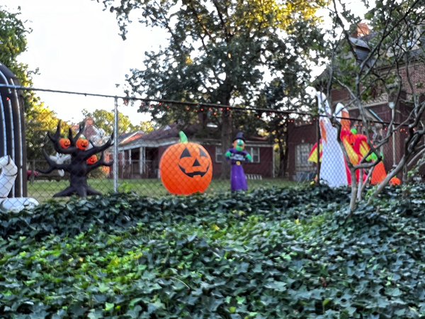 Backyard Halloween decoration