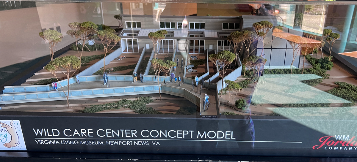 model of the Wild Care Center Concept Model 