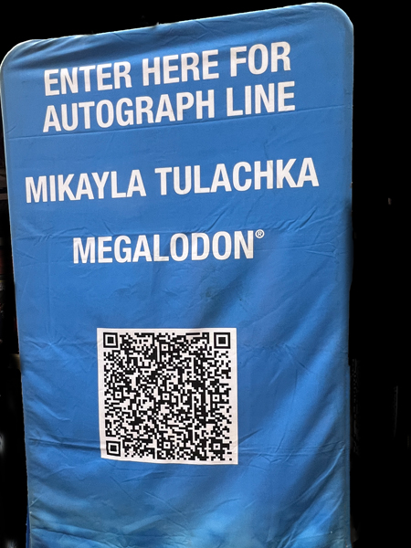 Mikayla Tulachka flag