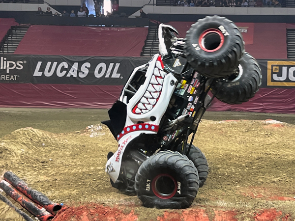 Jamie Sullivan in Monster Mutt Dalmatian