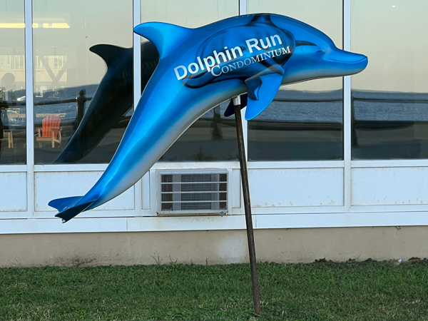 a giant dolphin