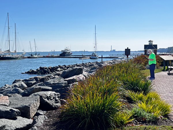 Lee Duquette and some sailboats