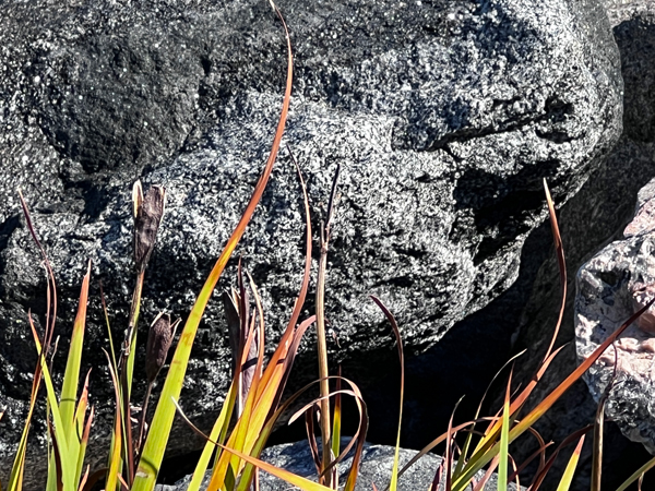 a big rock - texture