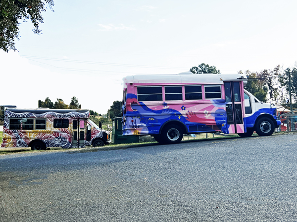 uniquely painted busses