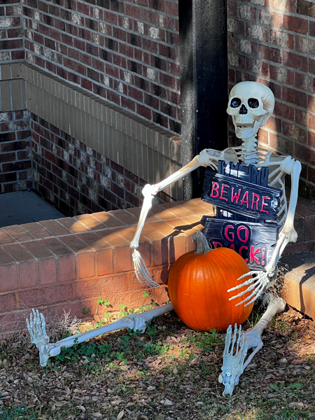 Skeleton and pumpkin