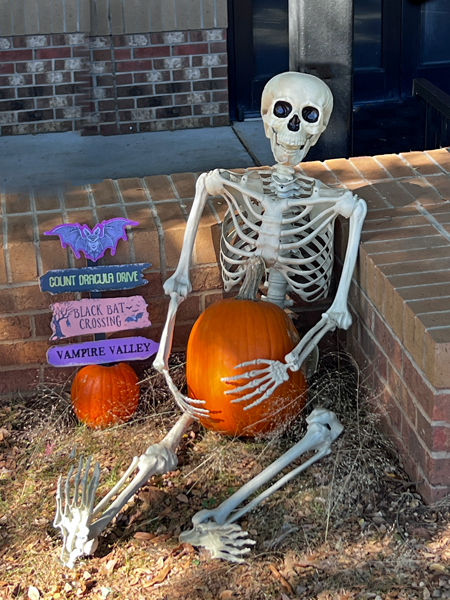 Skeleton and pumpkin