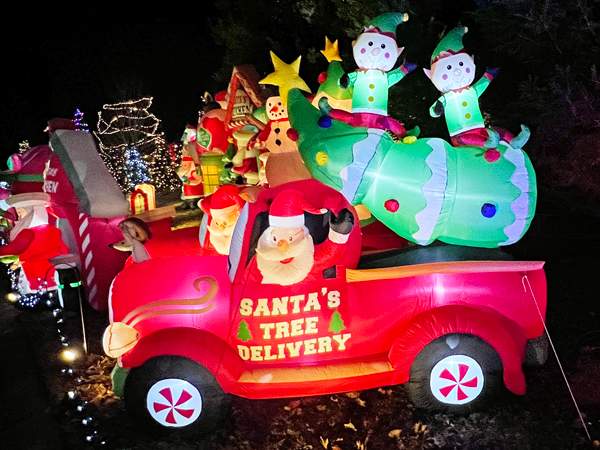 Santa's Tree Deliver