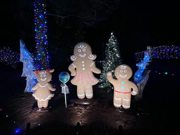 gingerbread people in 2024