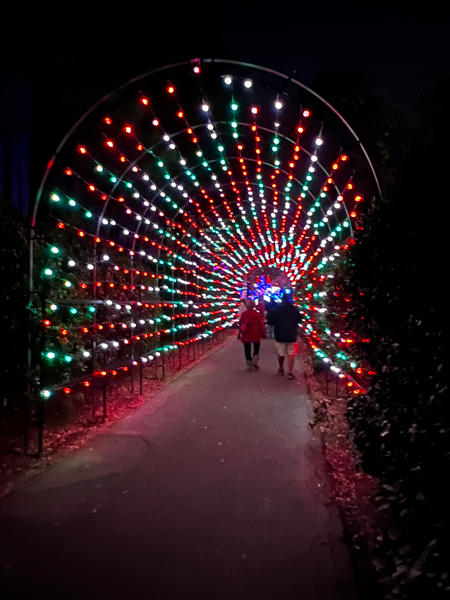 a short, lighted tunnel in 2024