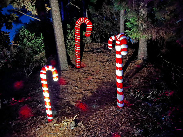 Candy canes