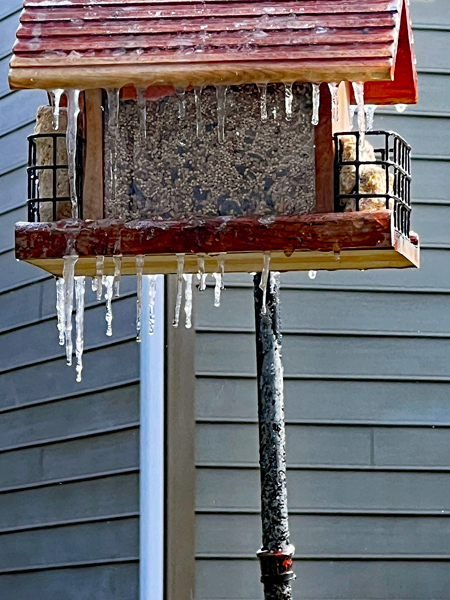 birdhouse covered in ice