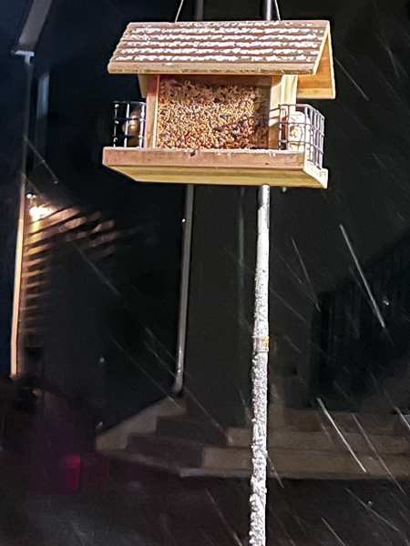 birdhouse in the snow