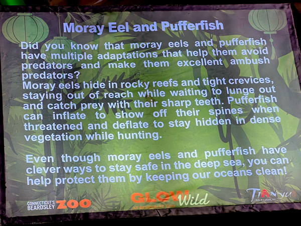 Morel Eeel and Pufferfish sign