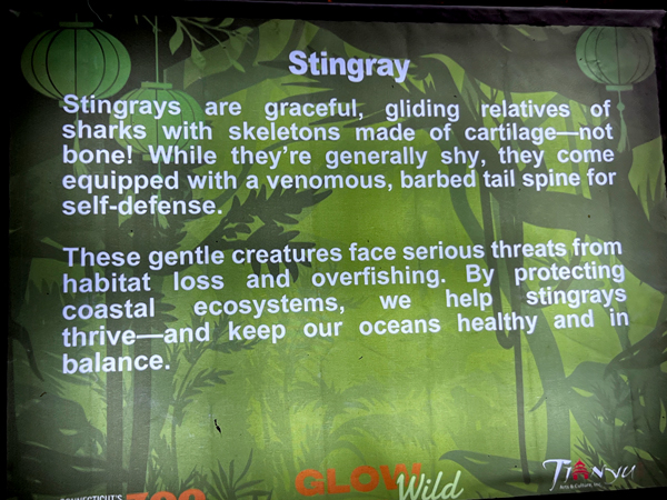 sign about the Stingray