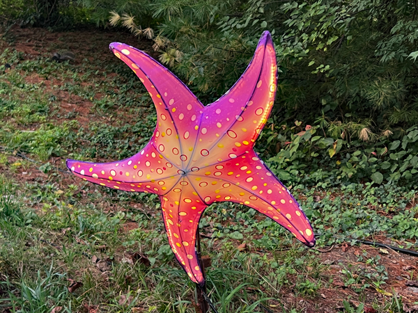 starfish