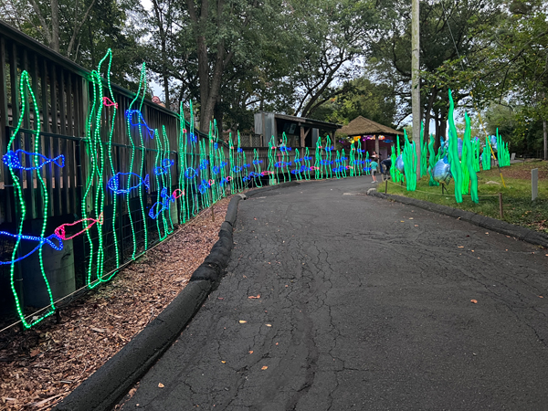 walkway with lit esigns