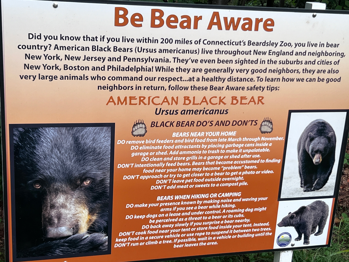 be Bear Aware sign
