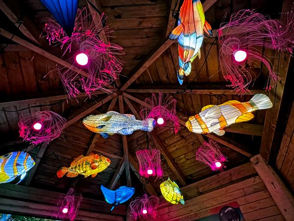 fish on the ceiling