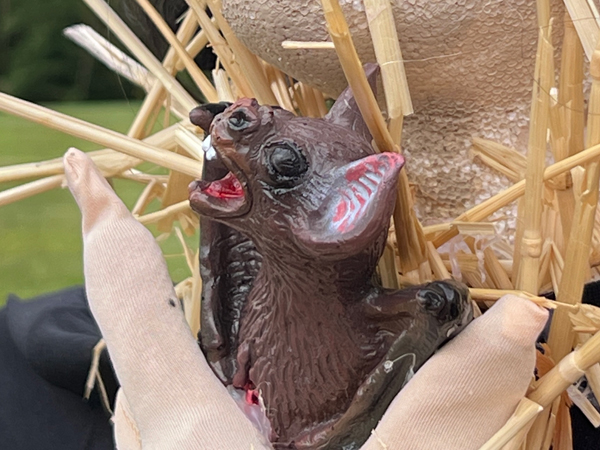 Diary of a Mad Scarecrow