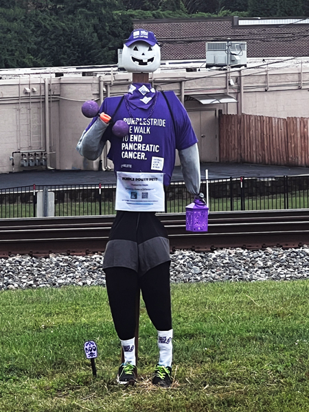 Purple Stride Cancer