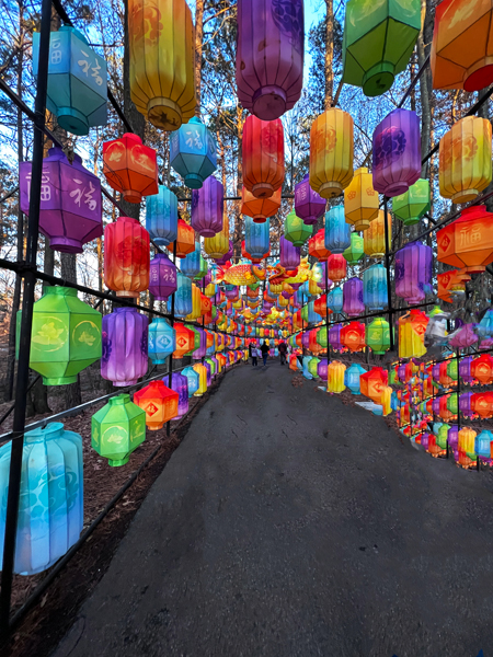 Lantern Light Corridor