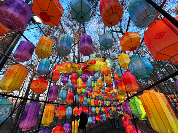 Chinese Lanterns