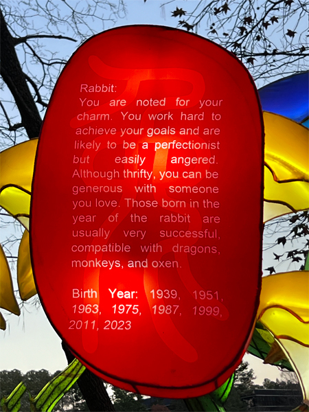 Zodiac sign for Rabbit