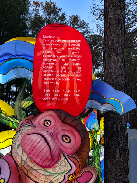 Zodiac sign for Monkey