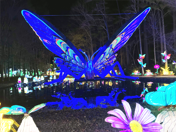 Big Butterfly with reflection in wate