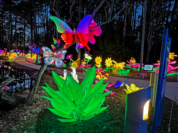 Chinese Festival walkway