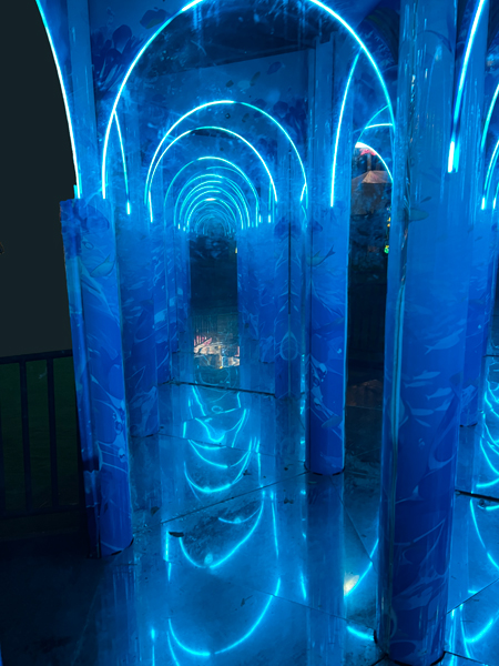 Mirror Maze