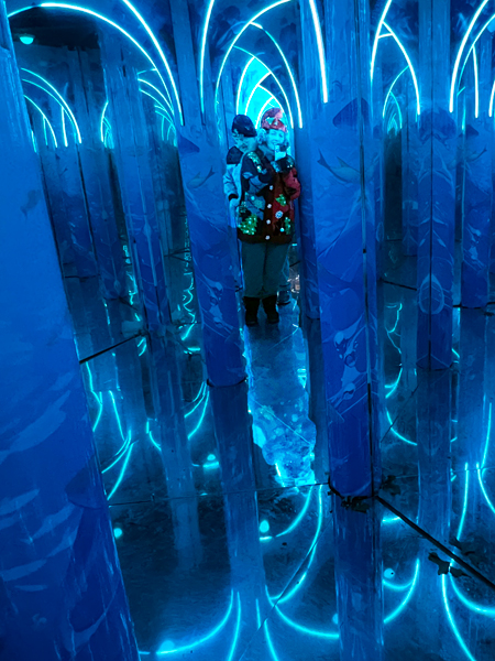 Karen and Lee Duqueet in The Mirror Maz