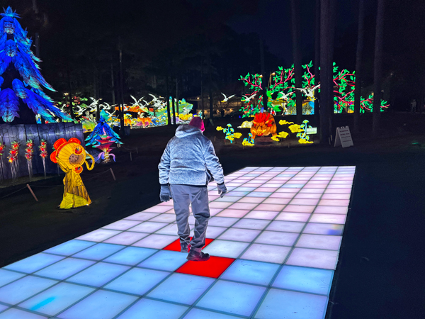 Lee Duquette on the interactive squares