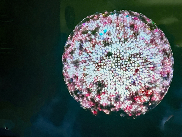 Watching the New Year's Ball drop on TV