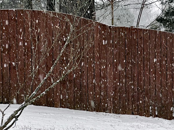 snow by the fence