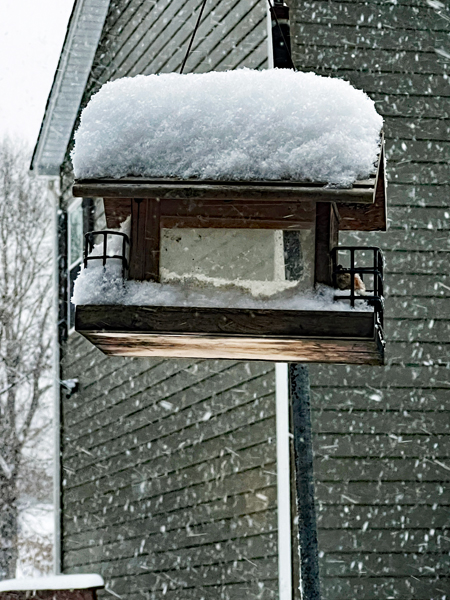 birdhouse