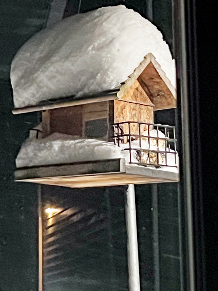 birdhouse and snow