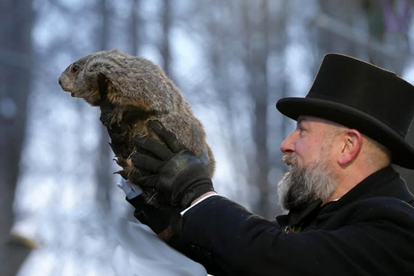 Punxsutawney Phil