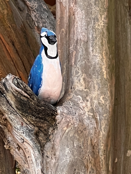 blue and white bird