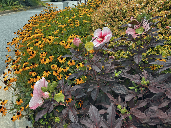 flowers