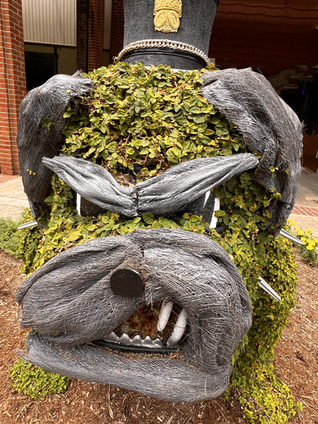 Emmett The Citadel Bulldog 