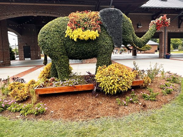 Milak, The Mama Elephant 