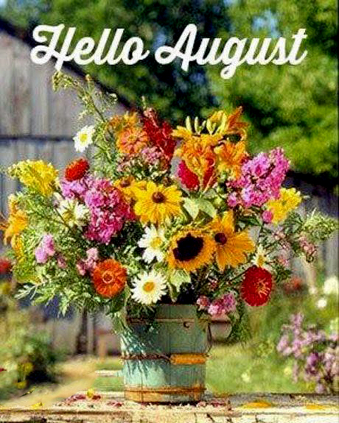 Hello August sign and flowers