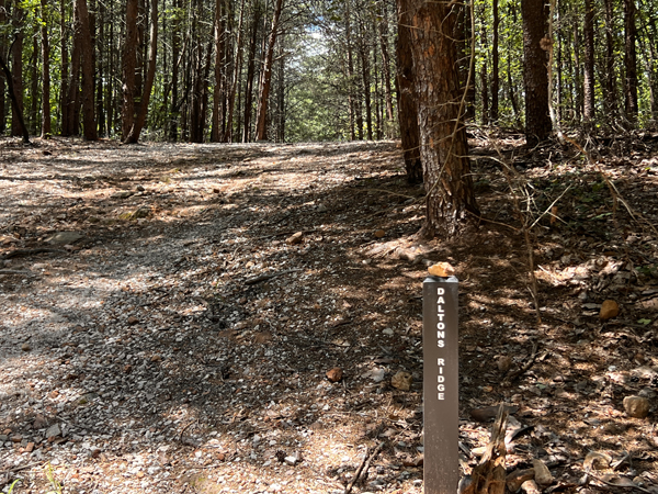 Dalton's Ridge trail