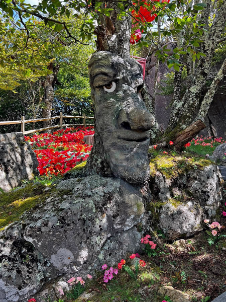 face in the tree